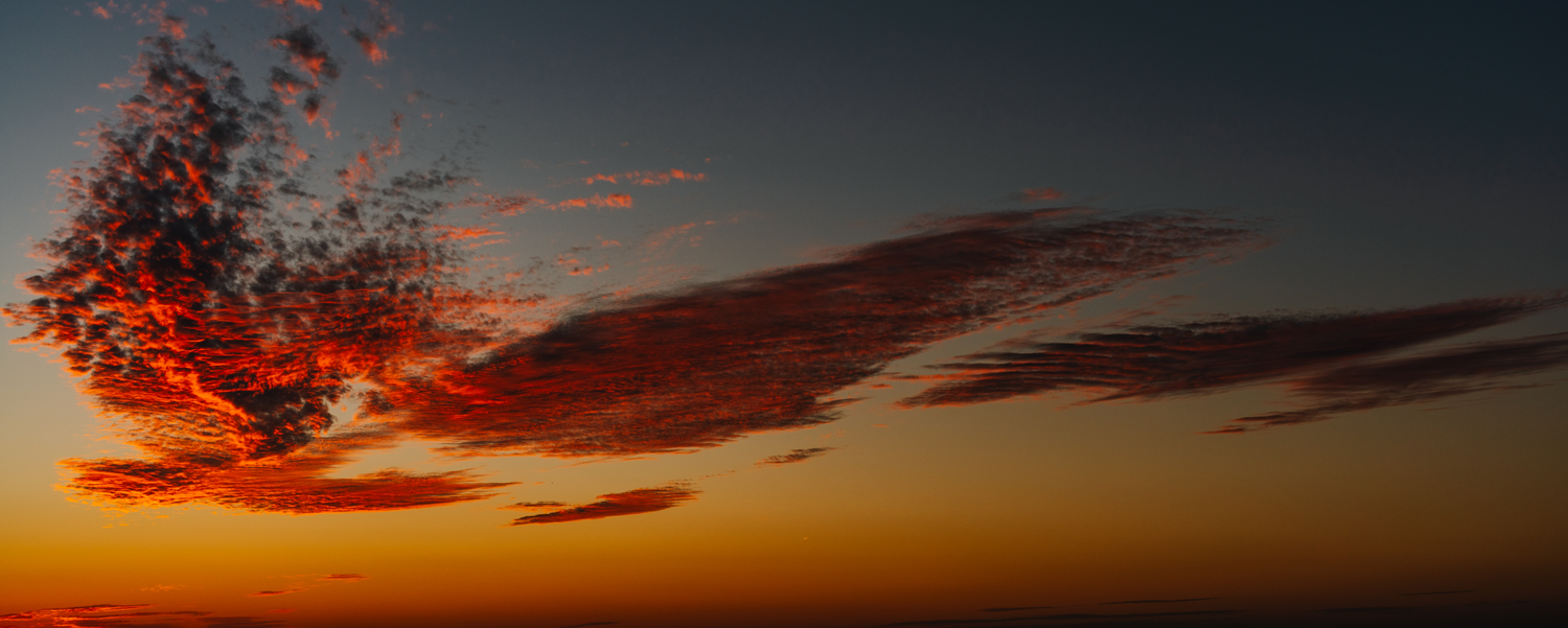 MS Amlin Asia | MS Amlin